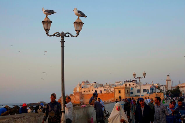 10 cosas que hacer Essaouira