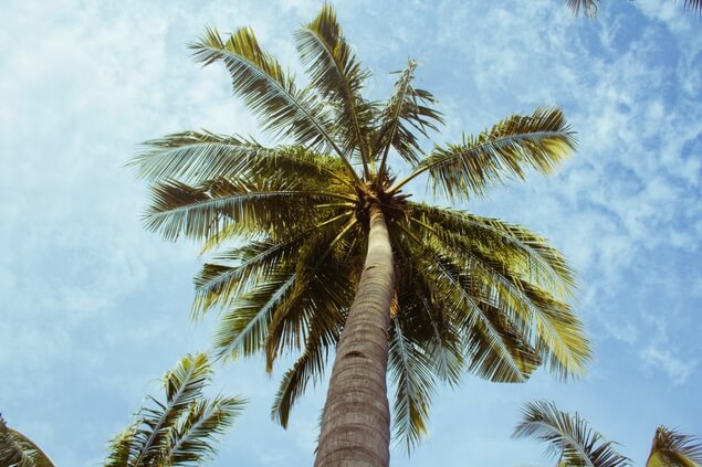 El tiempo Bali
