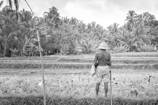 Historia Bali
