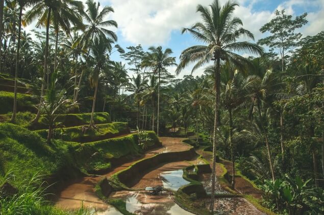 10 cosas que hacer Bali