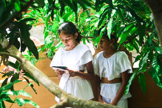 Qué hacer y qué no hacer Sri Lanka