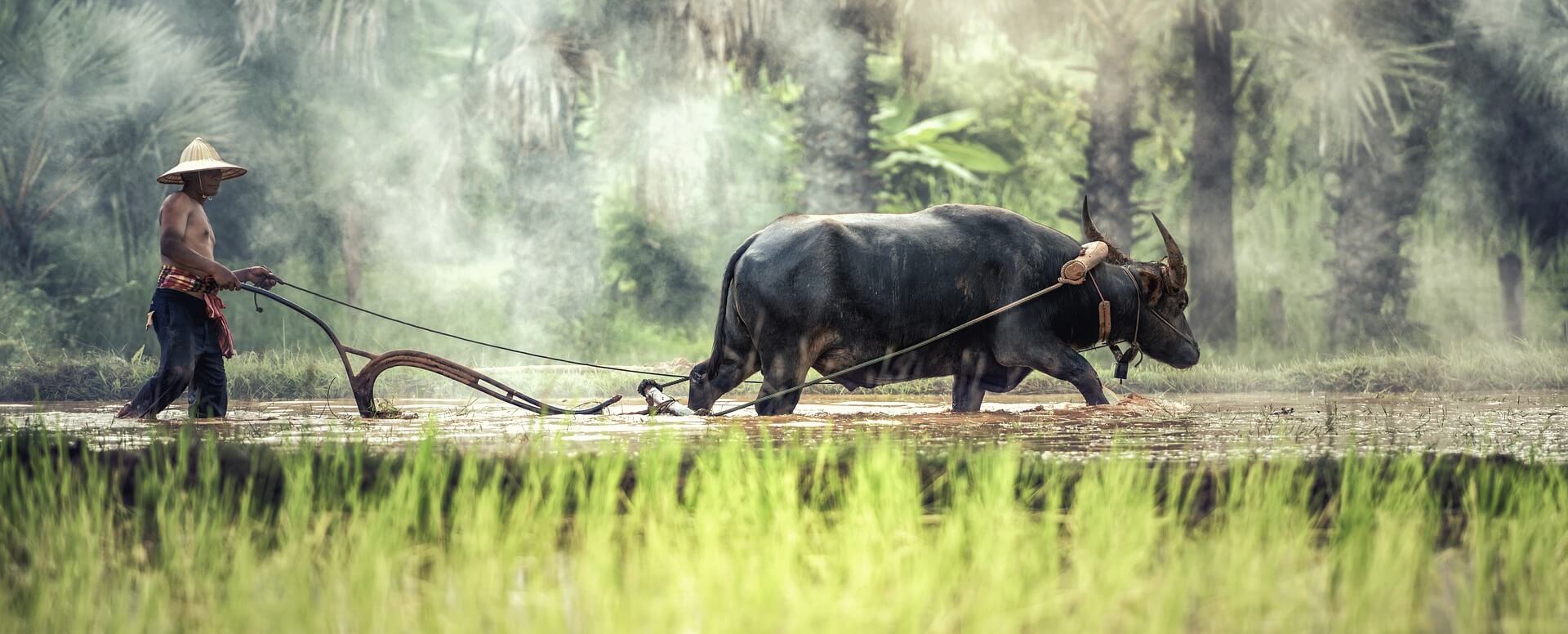 Cultura y tradiciones de Tailandia - Tailandia