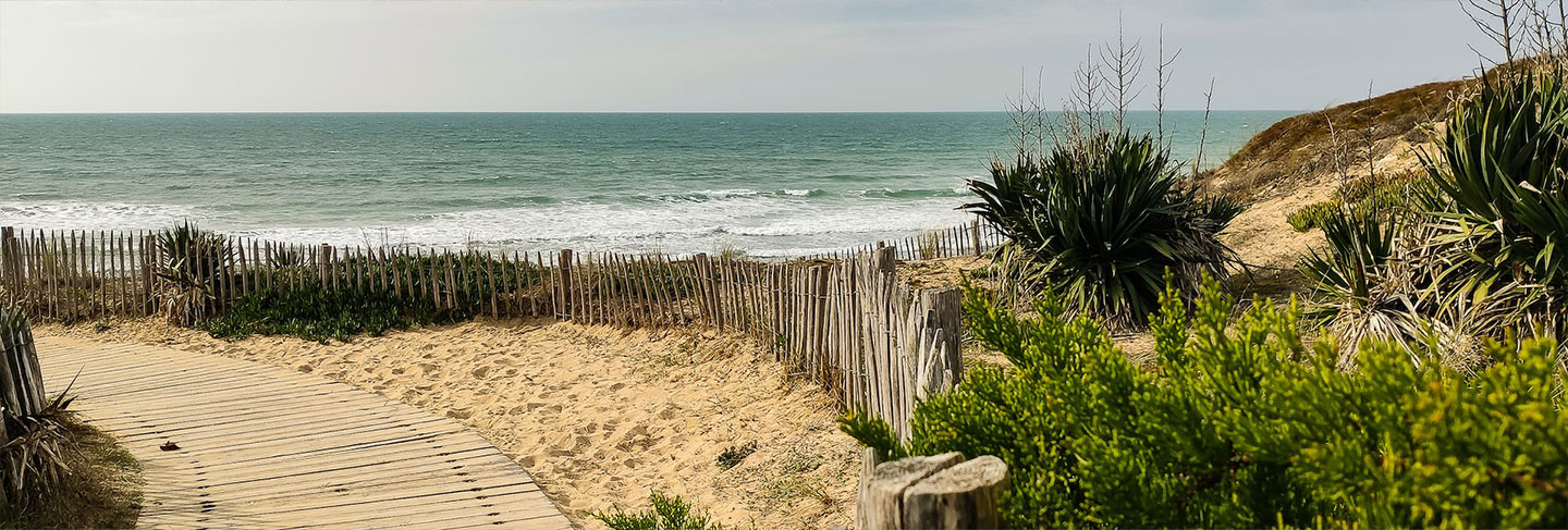 Los imprescindibles de la Isla de Ré - Isla de Ré