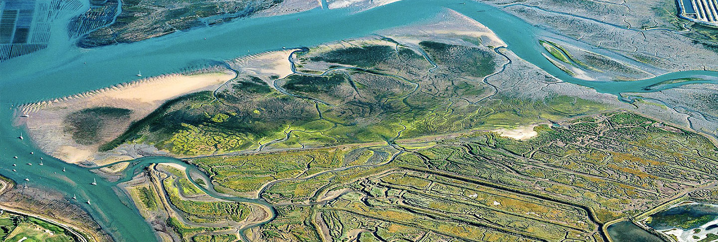 Los imprescindibles de la Isla de Ré - Isla de Ré