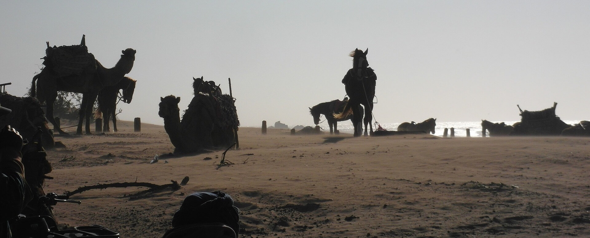 Una amplia variedad de actividades al aire libre - Essaouira