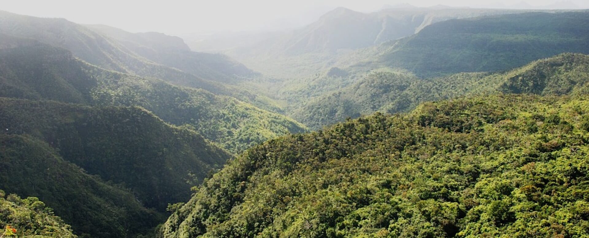 Ile aux Aigrettes - Isla Mauricio