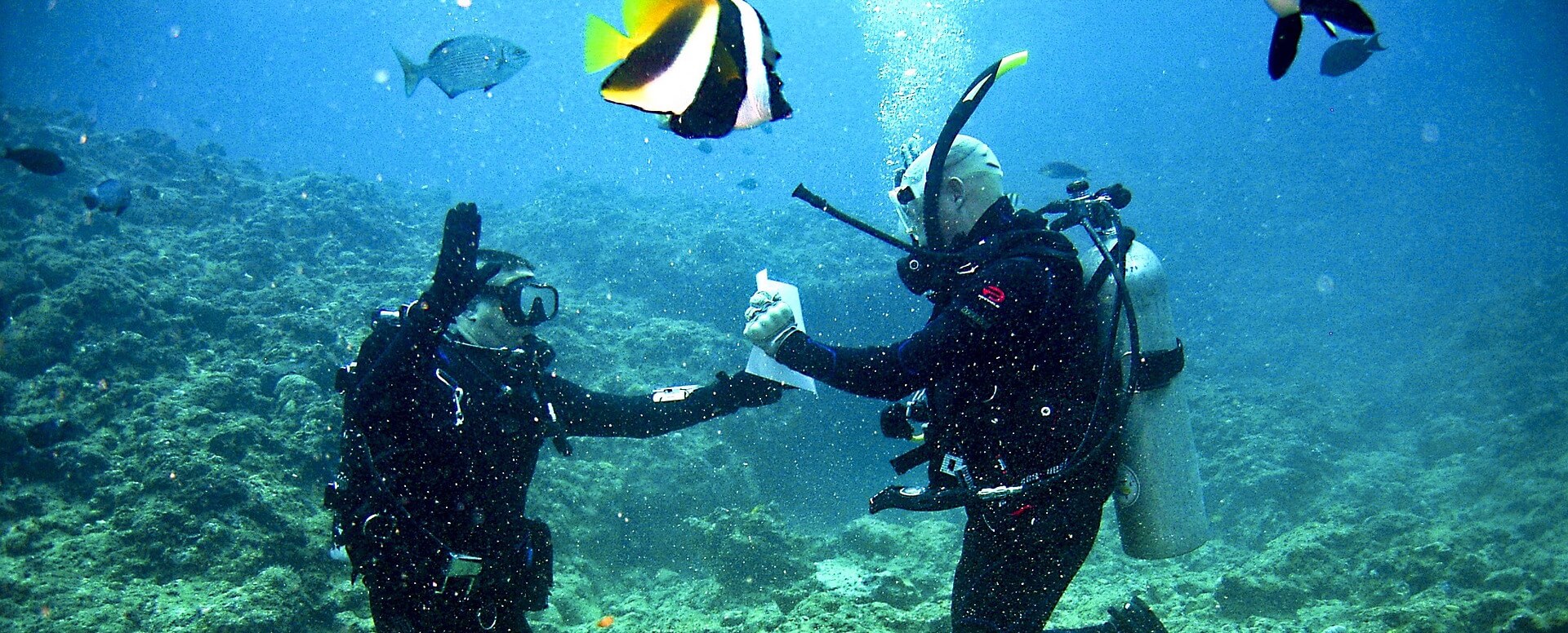 6. Buceo - Isla Mauricio