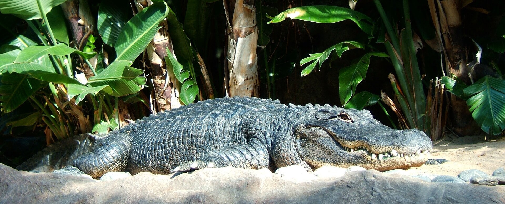 2. La Vanille Nature Park - Isla Mauricio