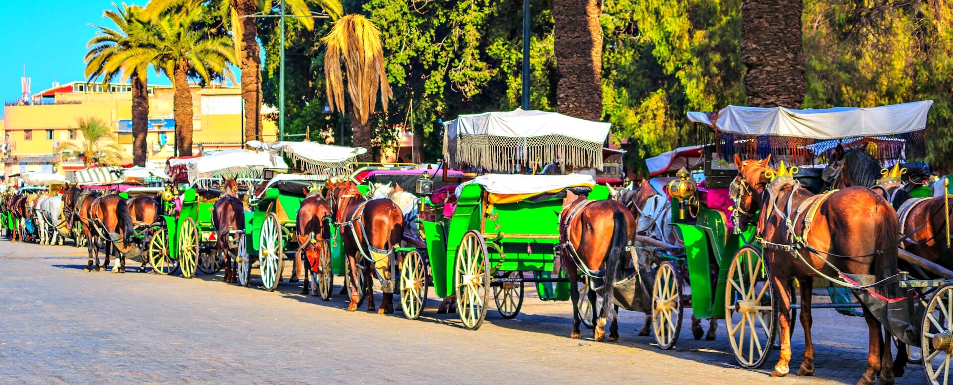 2. Hacer fotografías durante un paseo en carruaje - Marrakech