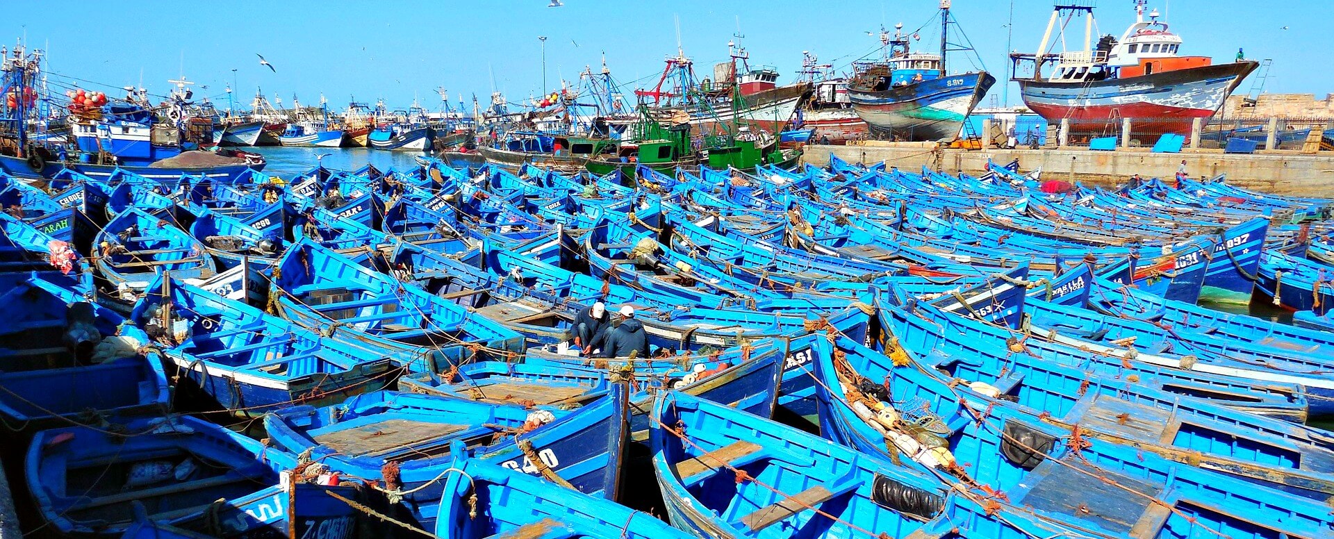 4. Explorar el mercado de pescado y el puerto - Essaouira