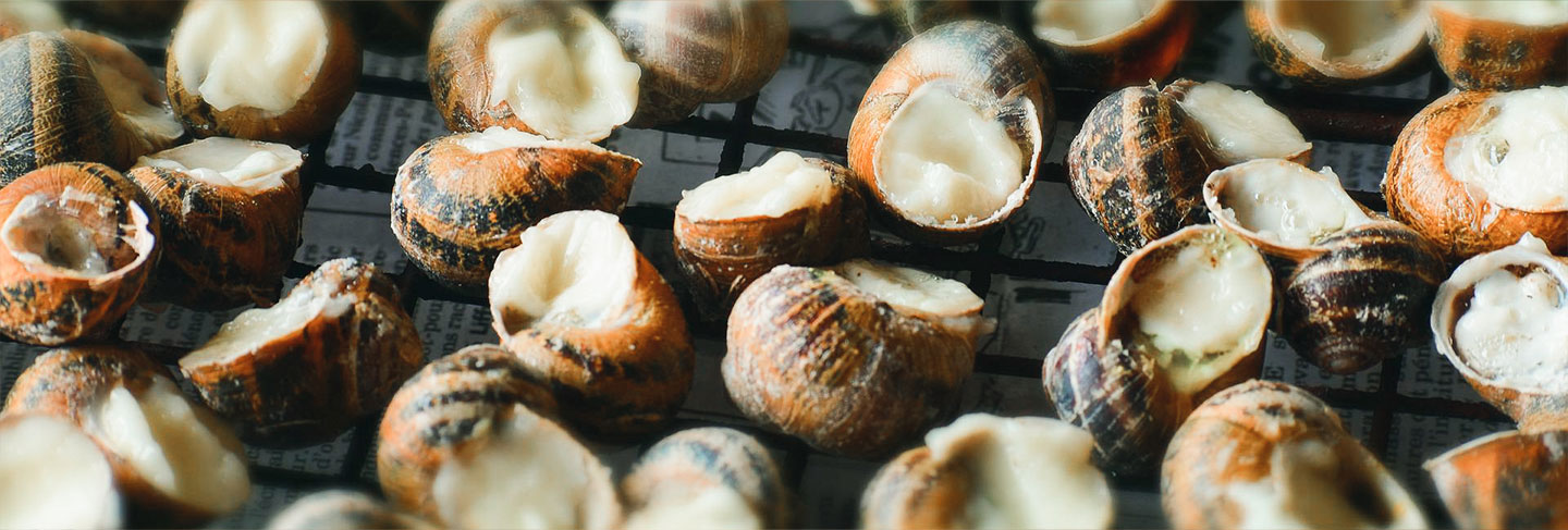 La gastronomía en Ibiza - Ibiza