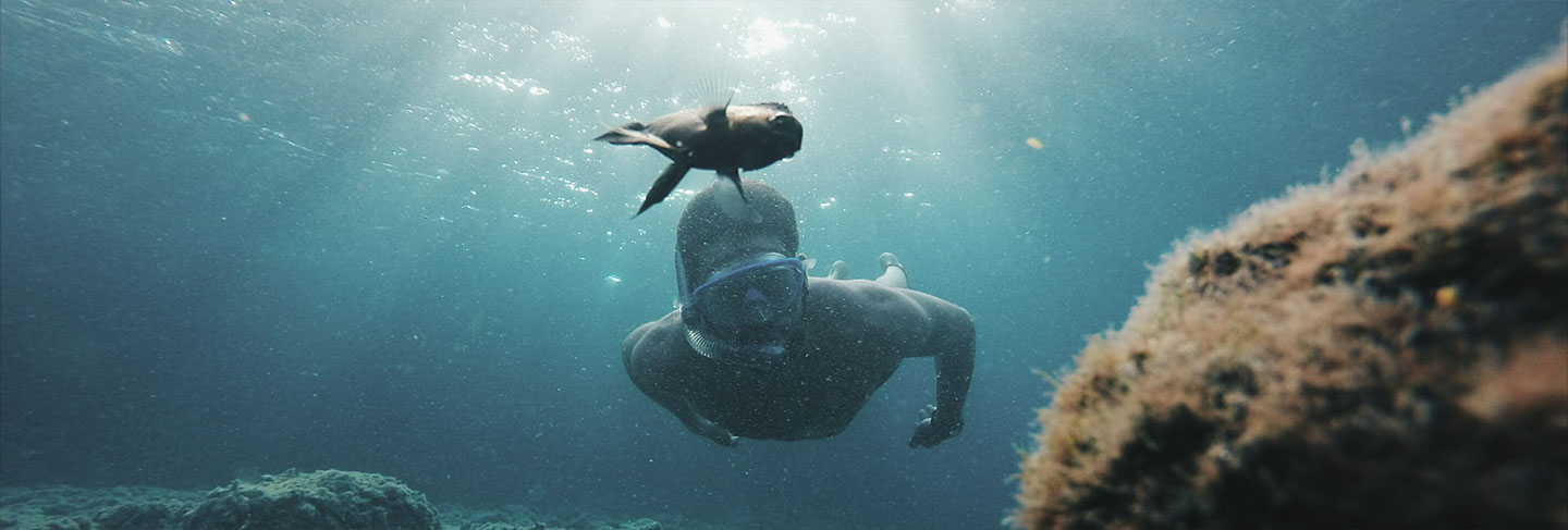 Lo esencial para disfrutar de Ibiza - Ibiza