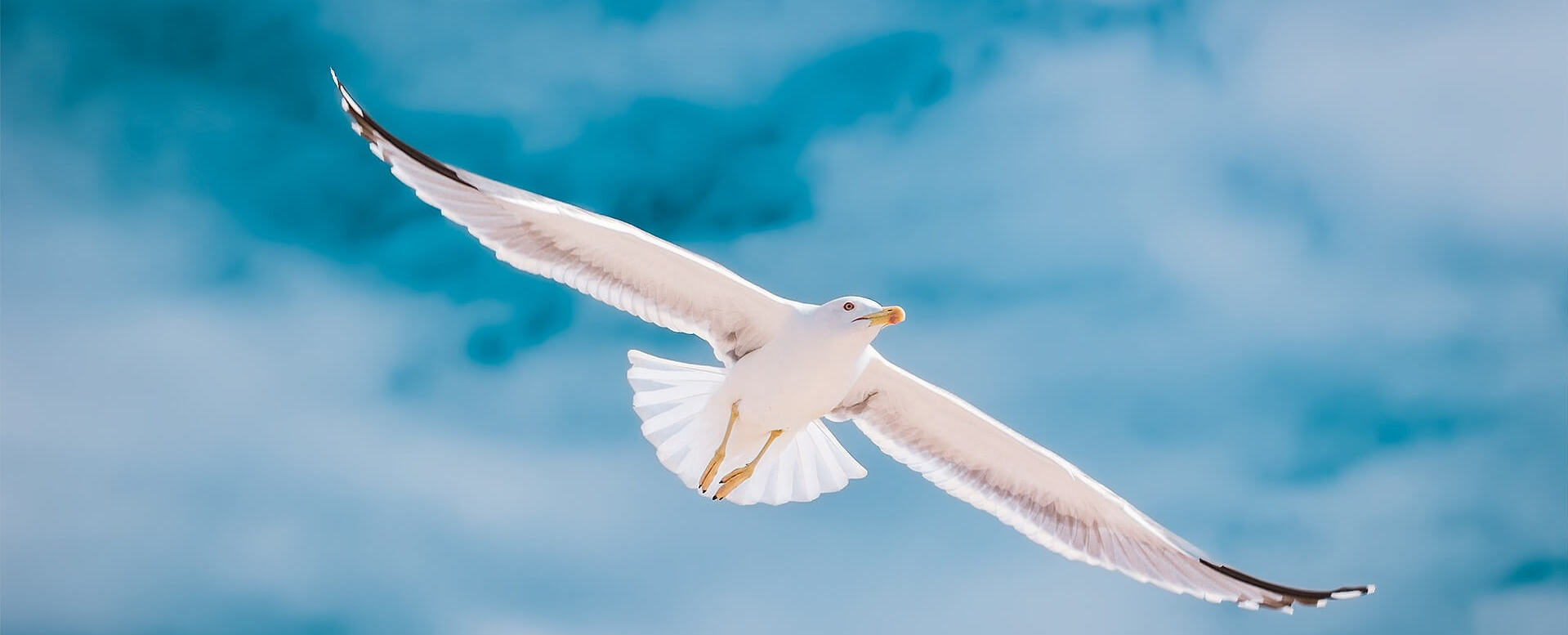 Tiempo y clima en el Algarve - Algarve