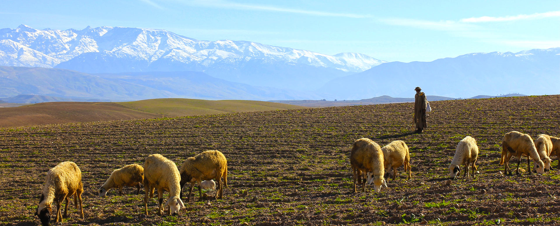 8. Hacer una excursión a las montañas del Atlas - Marrakech