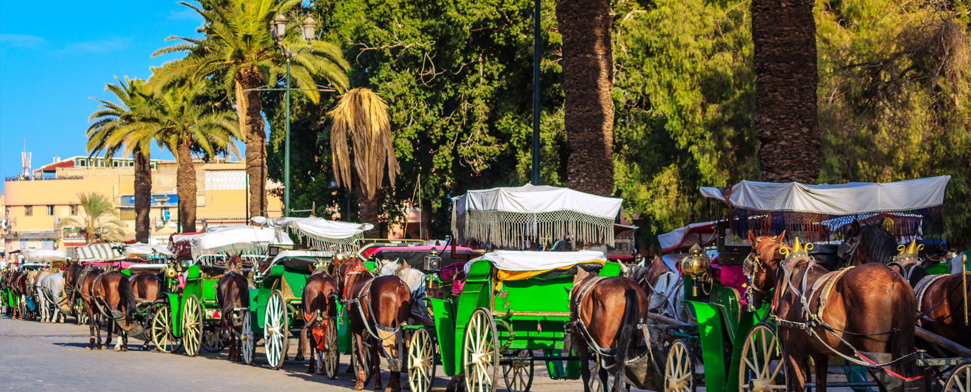 6. Visitar el museo de Marrakech - Marrakech