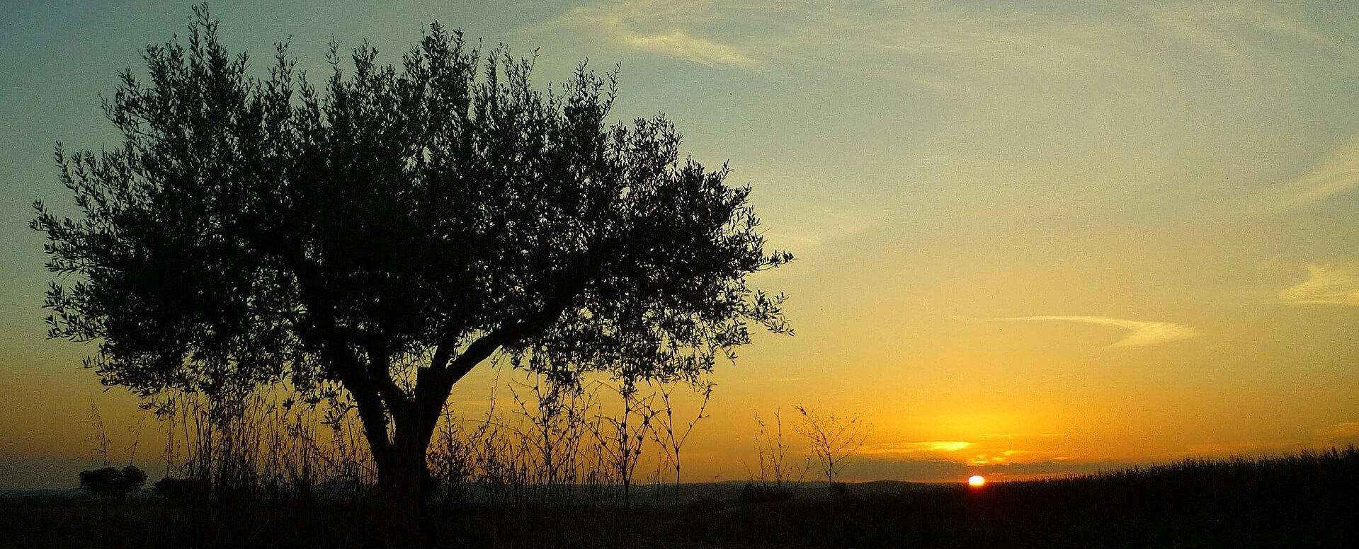 Tiempo y clima en Comporta - Comporta