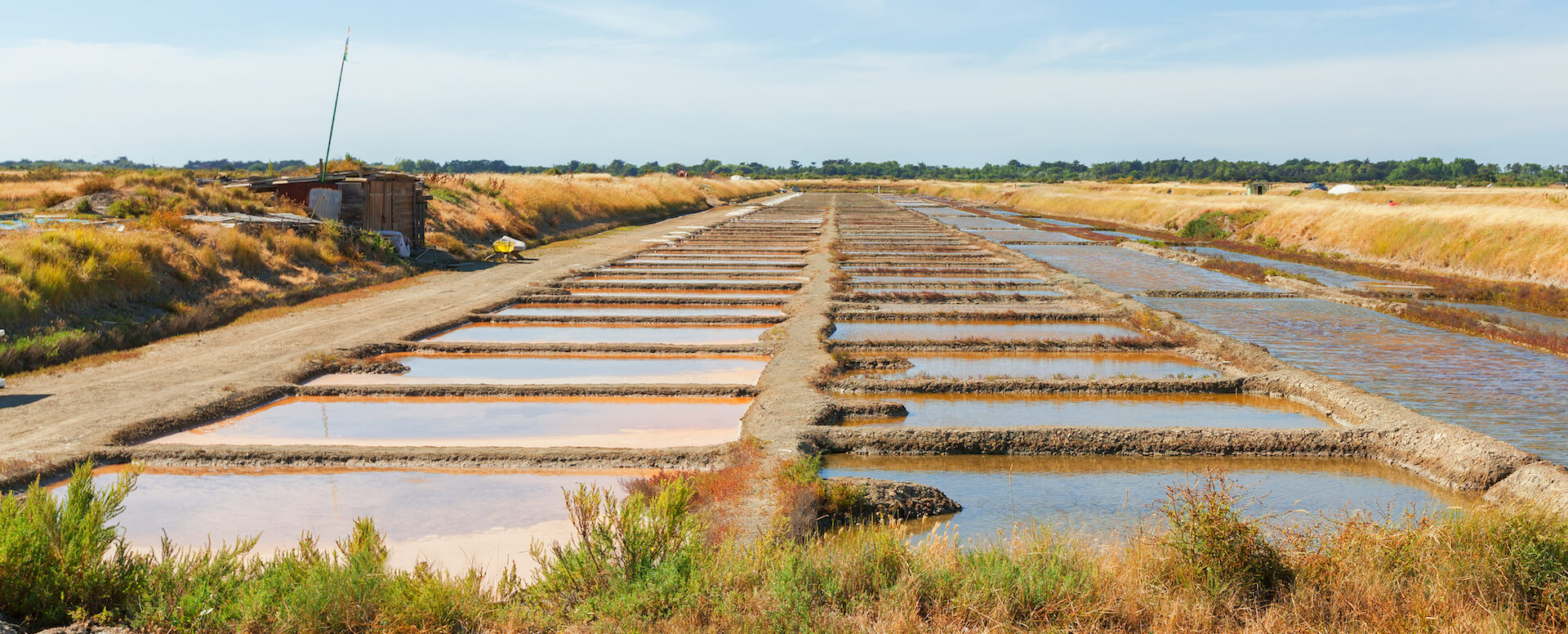 Ecomuseo de Marais Salant - Isla de Ré