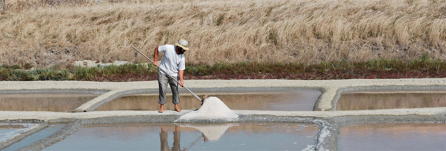 La gastronomía en Isla de Ré - Isla de Ré