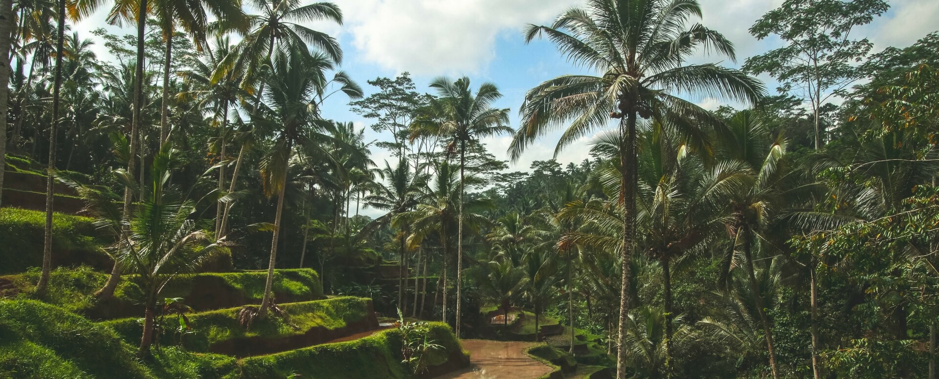 ¿Qué hacer en Bali? Guía de actividades - Bali