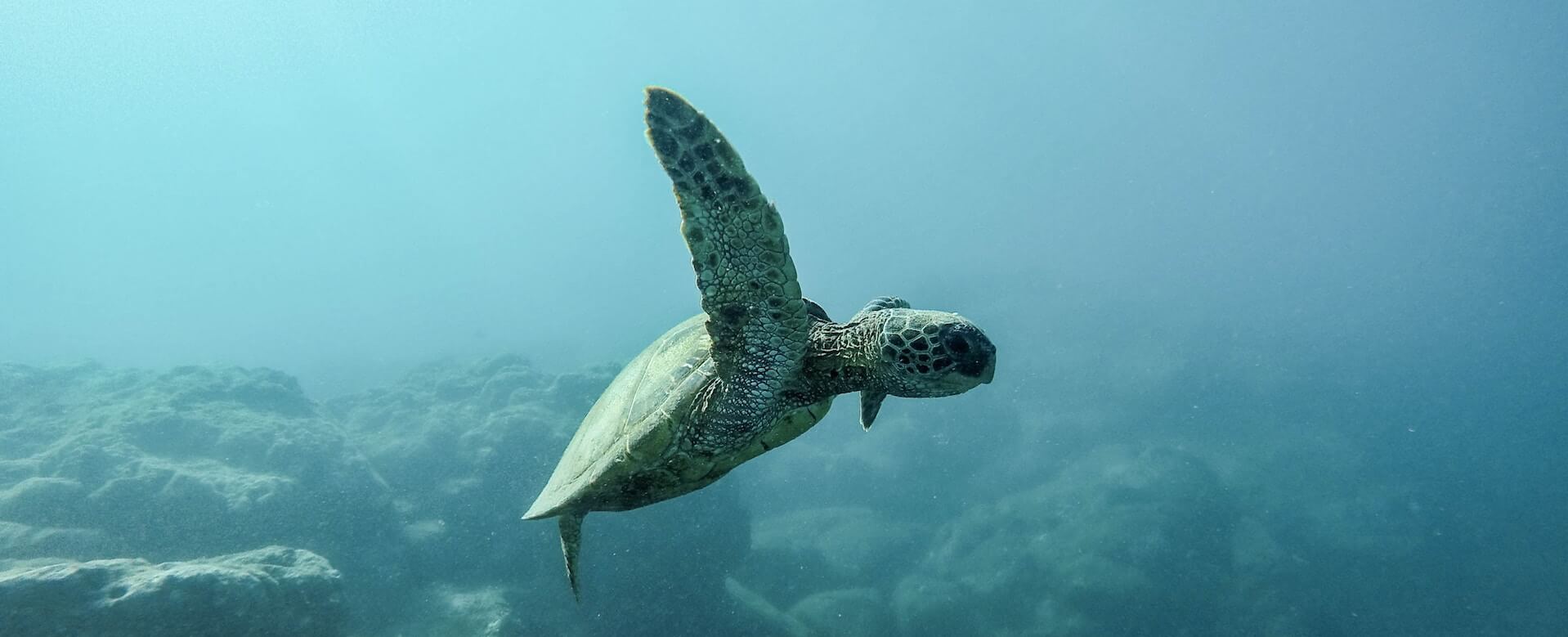 Marakolliya Beach, Tangalle - Sri Lanka
