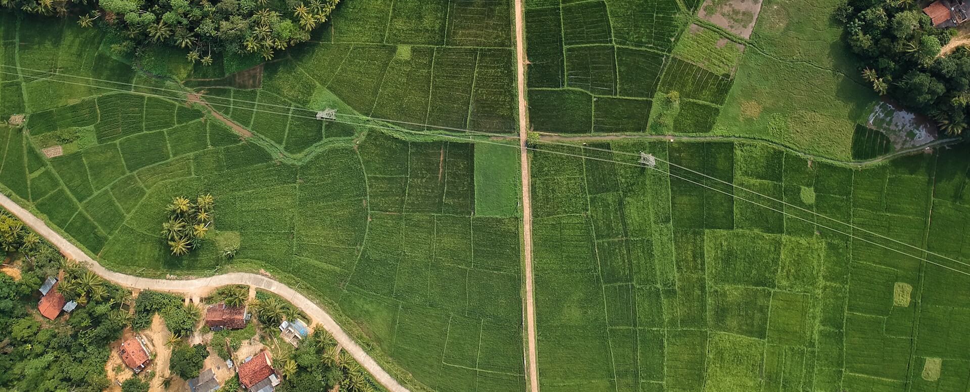 Los lugares imprescindibles de Sri Lanka - Sri Lanka