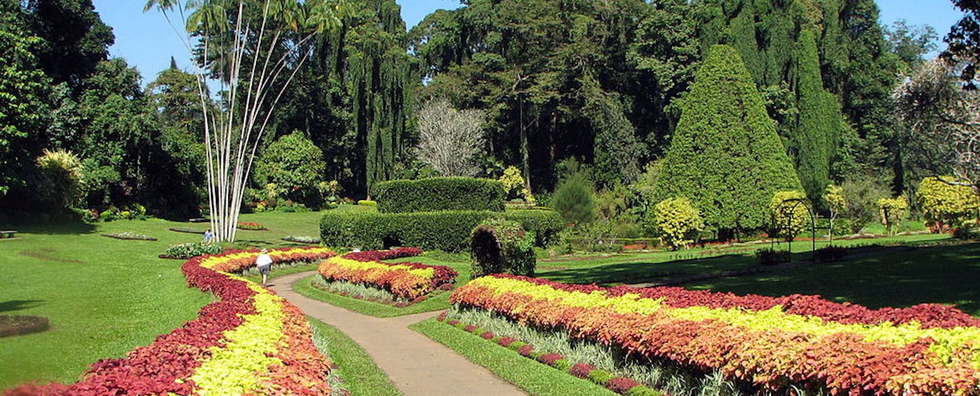El jardín botánico de Kandy - Sri Lanka