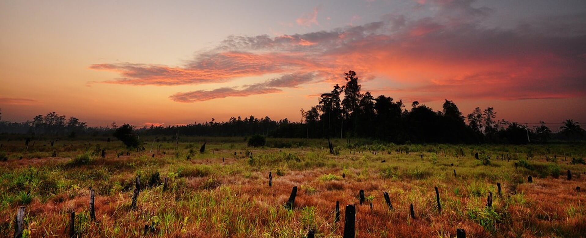Kalimantan - Indonesia