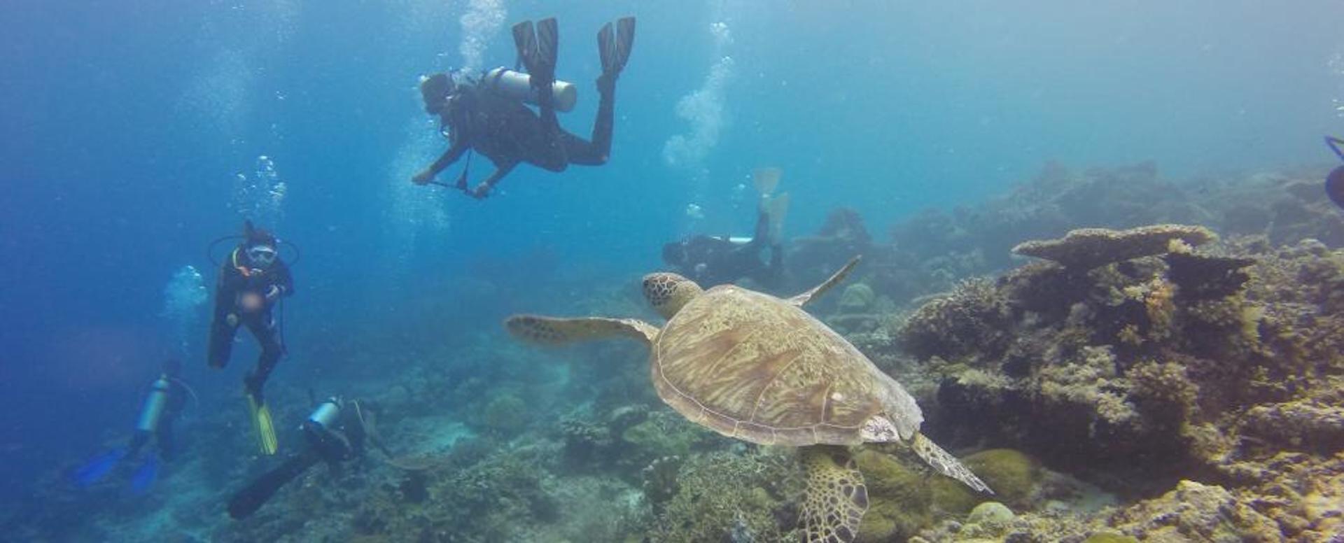 Disfrute de los deportes acuáticos - Indonesia