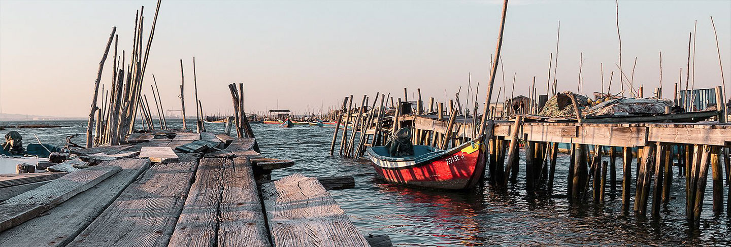 Los imprescindibles de Comporta - Comporta