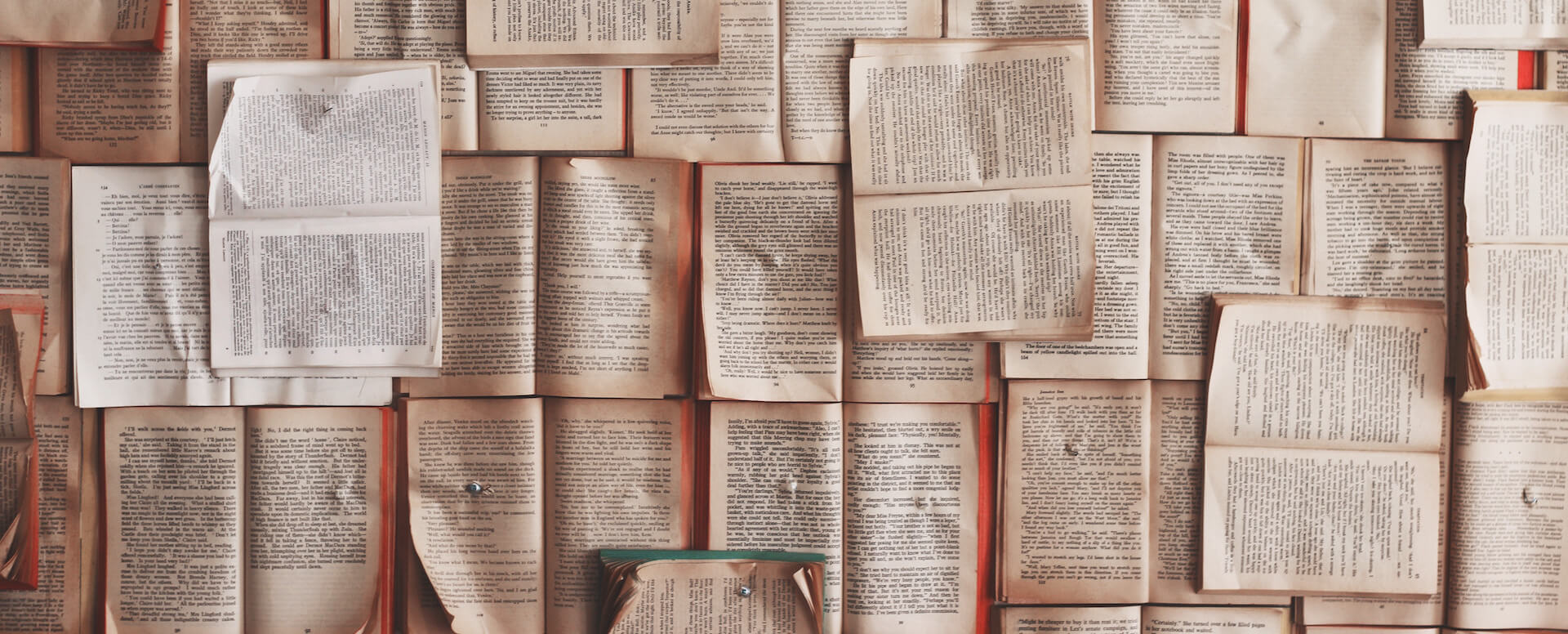 Qué ver y qué hacer durante una semana en Isla de Ré - Isla de Ré