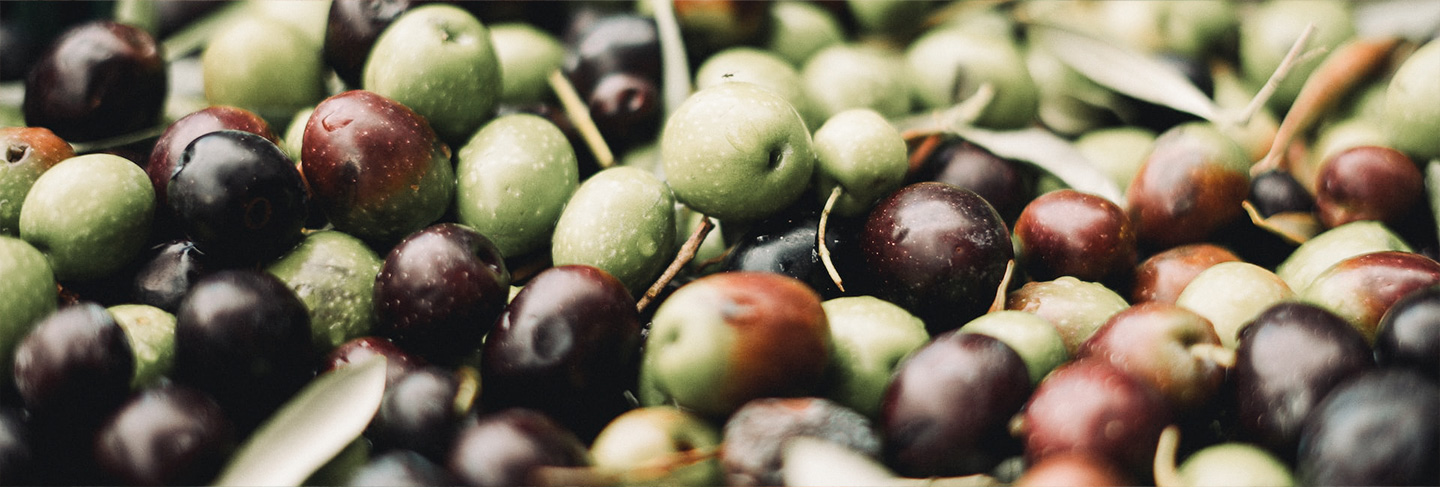 La gastronomía en Grecia - Grecia