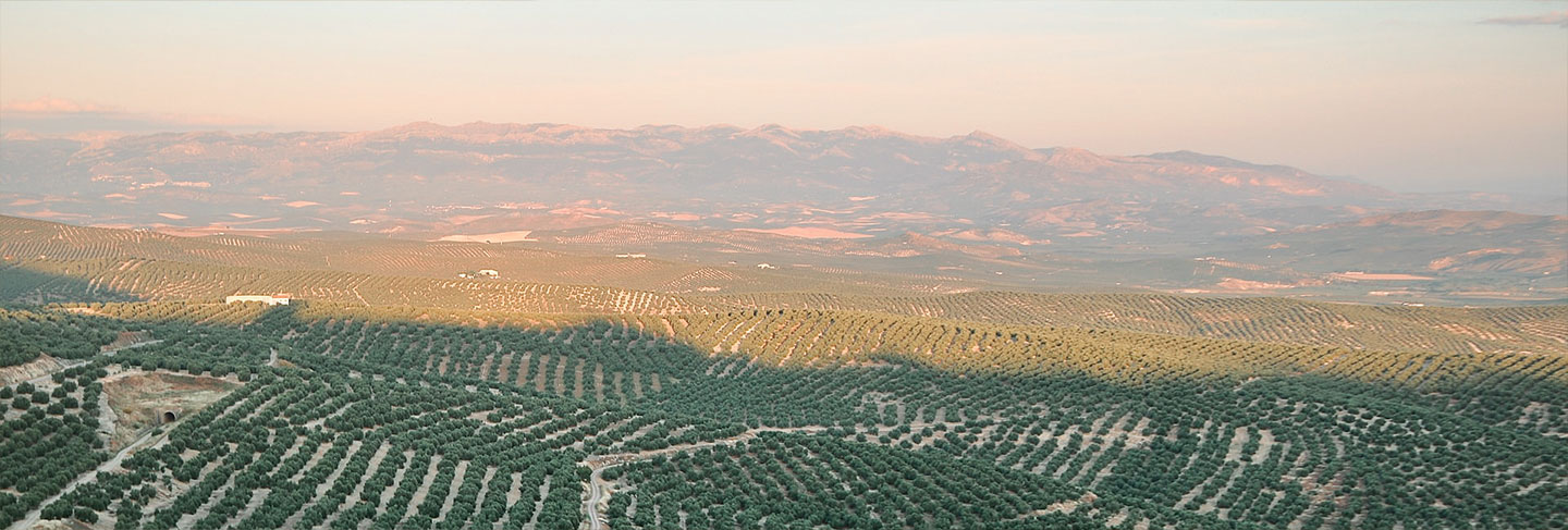 Cultura y tradiciones de España - España