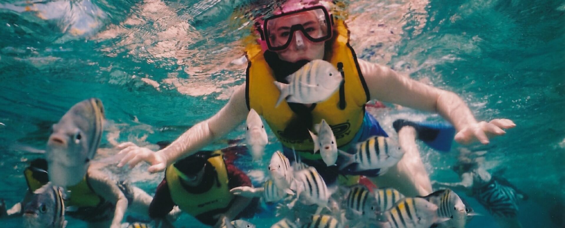 Haga snorkel en Akumal, Quintana Roo - México