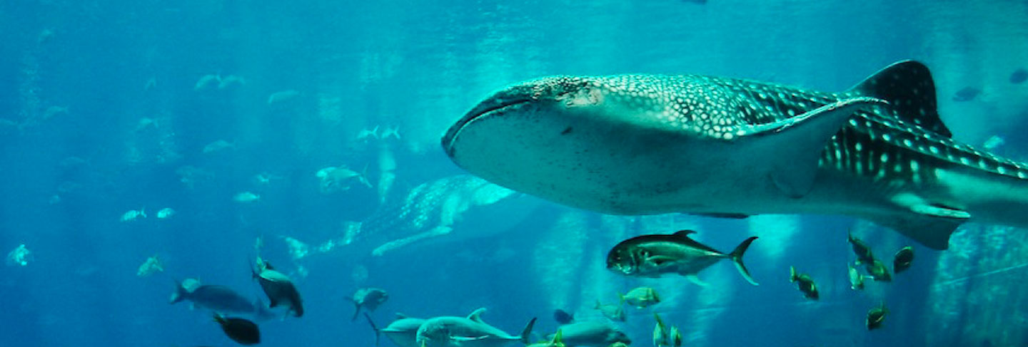 Los lugares imprescindibles de Isla Mauricio - Isla Mauricio