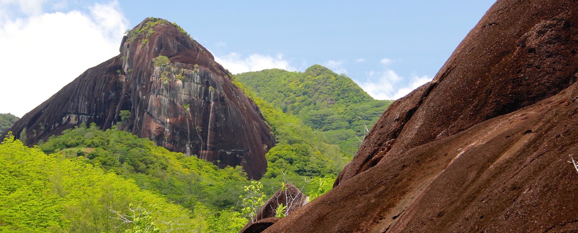 8. Senderismo por el valle de Mai - Seychelles