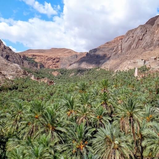 Desierto de Ouarzazate