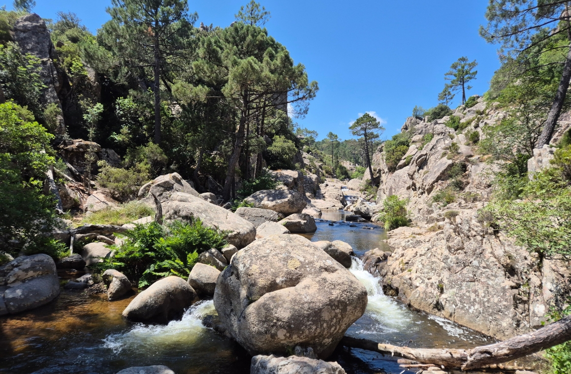 Porto Vecchio, la estrella de Córcega del Sur
