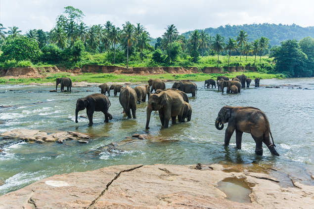 Sri_Lanka