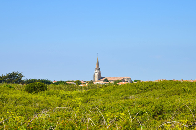 Alquiler de villas en Sainte Marie de Ré